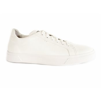 Кеди чоловічі 12056-9 DAVIS фото - Mercury-shoes