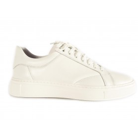 Кеди чоловічі  8098-1 STEPTER фото - Mercury-shoes