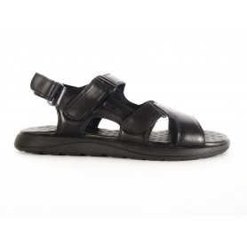 Сандалі чоловічі 12124-7 DAVIS фото - Mercury-shoes