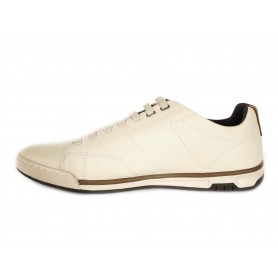 Кеды мужские 119504-02 PEGADA фото - Mercury-shoes